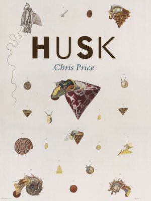 cover image of Husk